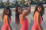 Pooja Hegde sizzles in a pink monokini during Maldives vacay, fans call her ’Hot’; Watch